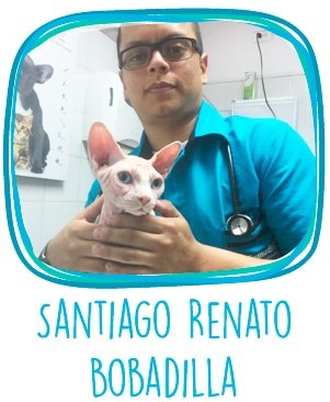 NUESTRO-EQUIPO-09-2018 NUESTRO-EQUIPO-09-2018