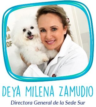 NUESTRO-EQUIPO-ZAMUDIO-06-2018 NUESTRO-EQUIPO-ZAMUDIO-06-2018