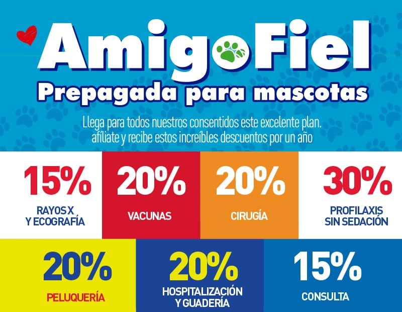 amigo