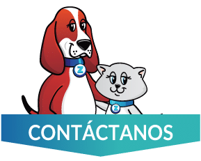 button-form-contact.png